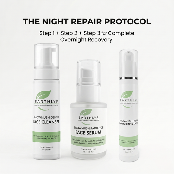 The Night Repair Protocol