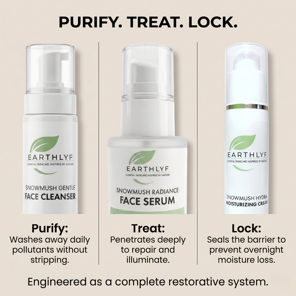 The Night Repair Protocol